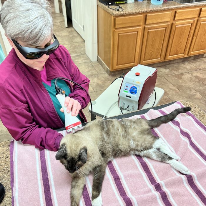 healing laser therapy