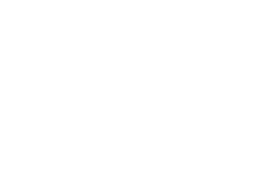 cash icon white